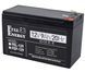 Full Energy FEP-129 9А&bull;г 12В Свинцево-кислотна акумуляторна батарея